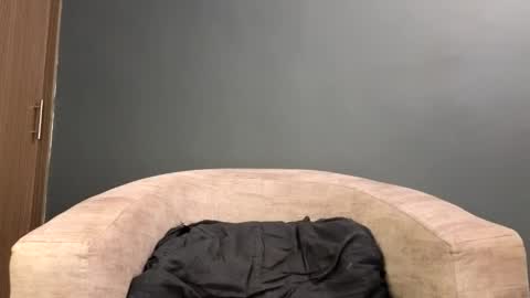 Snapshot of scarlett_is_here chatting on 19, 4, 2026 scarlett_is_here online show from 19, 4, 2026
