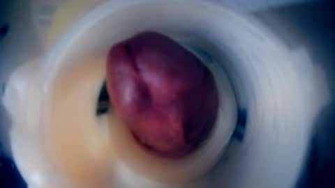 Snapshot of scarrzhed chatting on 9, 2, 2026 Scarr online show from 9, 2, 2026