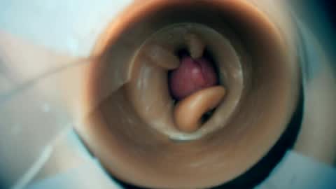 Snapshot of scarrzhed chatting on 1, 3, 2026 Scarr online show from 1, 3, 2026