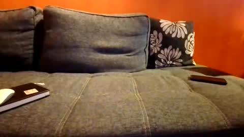 Snapshot of schmuhbaer1 chatting on 14, 12, 2025 schmuhbaer1 online show from 14, 12, 2025