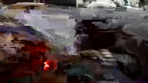 Snapshot of schultzbrent2 chatting on 15, 12, 2025 schultzbrent2 online show from 15, 12, 2025