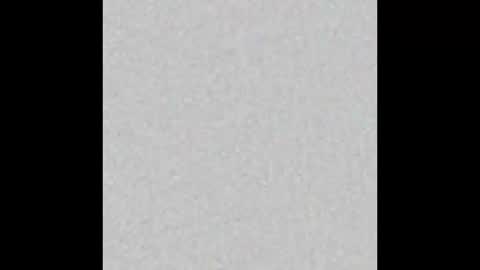 Scolw  online show from 15, 12, 2025