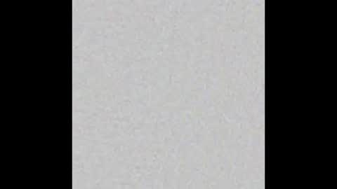 Scolw  online show from 6, 2, 2026