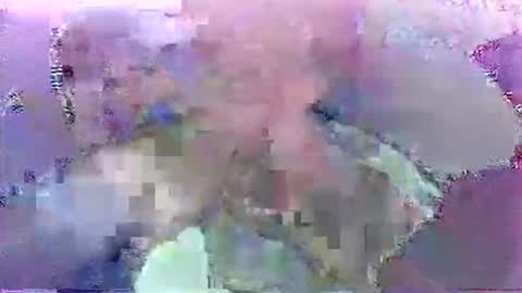 scoobydueingu69 online show from 30, 11, 2025