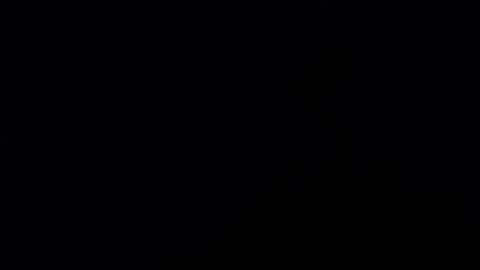 . online show from 3, 1, 2025