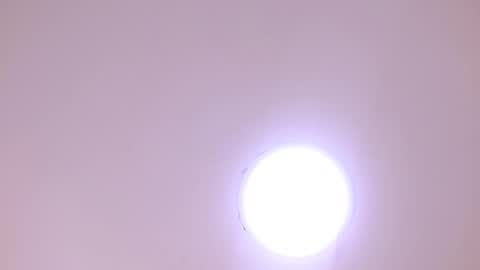 Damar online show from 8, 1, 2026