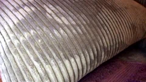 scotty2hotty46_ online show from 21, 2, 2026