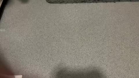 Snapshot of scottyc48 chatting on 1, 12, 2025 scottyc48 online show from 1, 12, 2025