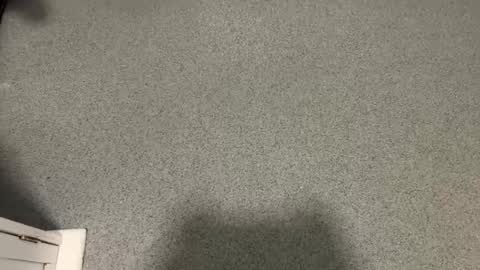 Snapshot of scottyc48 chatting on 17, 12, 2025 scottyc48 online show from 17, 12, 2025