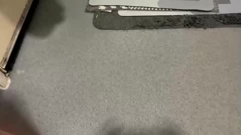 Snapshot of scottyc48 chatting on 19, 12, 2025 scottyc48 online show from 19, 12, 2025