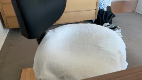 scottyeah80 online show from 17, 1, 2026