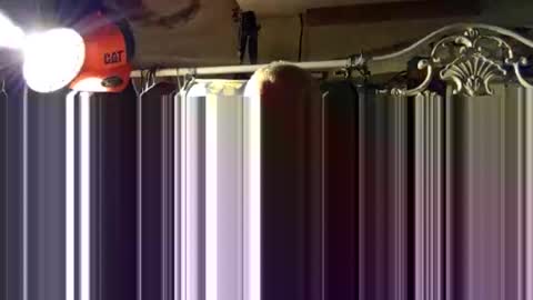 scoutiii online show from 15, 10, 2025