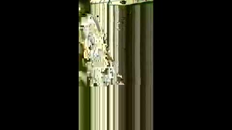 Snapshot of scoutiii chatting on 1, 5, 2026 scoutiii online show from 1, 5, 2026