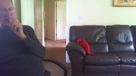 Snapshot of seakrait chatting on 20, 4, 2026 seakrait online show from 20, 4, 2026