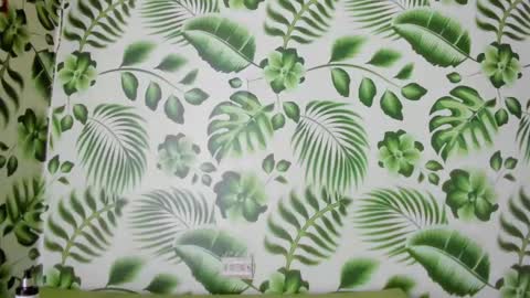 Sean online show from 5, 3, 2025