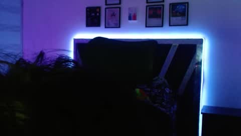 Sebas online show from 9, 10, 2025