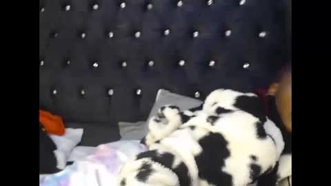 sebatrishaa online show from 23, 10, 2025