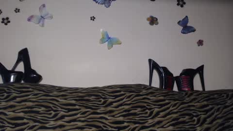 Snapshot of secoiya chatting on 12, 3, 2026 Emily online show from 12, 3, 2026