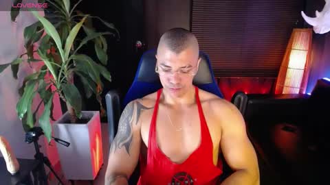 sed online show from 14, 12, 2024