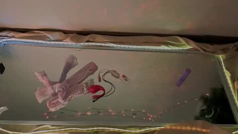 Snapshot of seductive_flower chatting on 15, 1, 2026 Mali online show from 15, 1, 2026