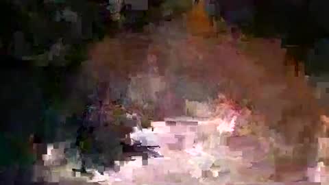 seinful69 online show from 6, 5, 2026