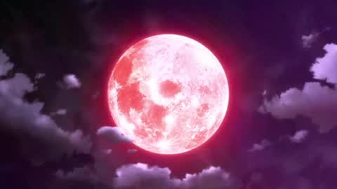 Selene G  online show from 13, 5, 2026