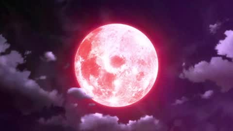 Selene G  online show from 15, 5, 2026
