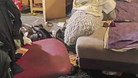 Snapshot of selfsuck_master69 chatting on 8, 4, 2026 BiG DicK online show from 8, 4, 2026