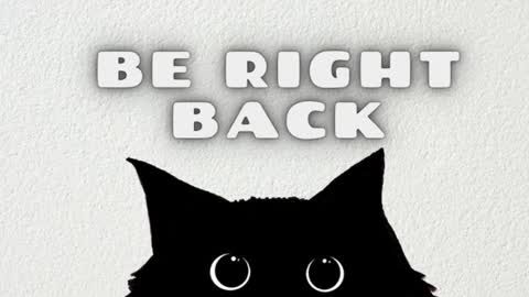 Sanya online show from 13, 10, 2025