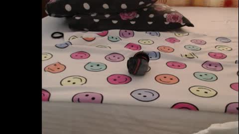Snapshot of sera_booty chatting on 25, 10, 2025 Anne online show from 25, 10, 2025
