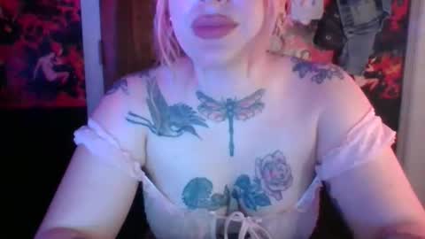 serencigarra online show from 14, 11, 2025