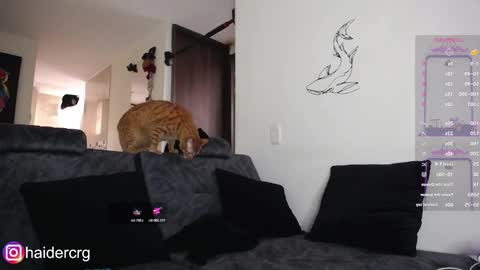 setth online show from 7, 2, 2026