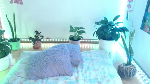 samy online show from 10, 4, 2026