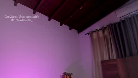 Snapshot of sexicanela99 chatting on 8, 1, 2025 ... Camila ... online show from 8, 1, 2025