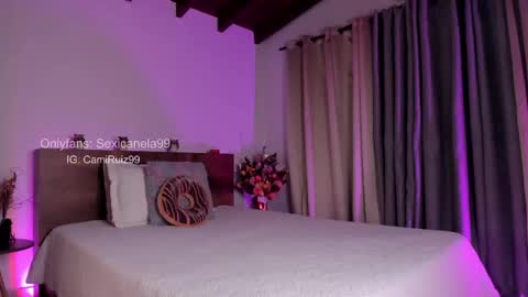 Snapshot of sexicanela99 chatting on 19, 2, 2025 ... Camila ... online show from 19, 2, 2025
