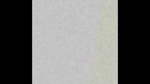 dankdiggler online show from 2, 12, 2025