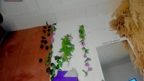 Snapshot of sexking_david chatting on 22, 12, 2025 sexking_david online show from 22, 12, 2025