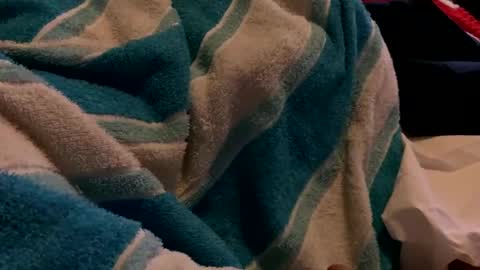 Sexplorer54321 online show from 3, 2, 2025