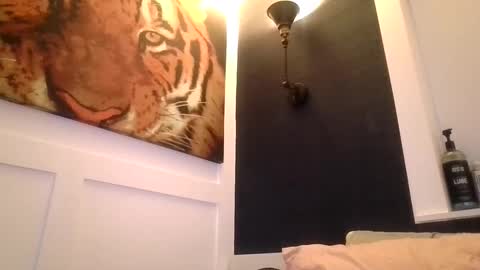 Snapshot of sexxxyvibes chatting on 24, 10, 2025 sexxxyvibes online show from 24, 10, 2025