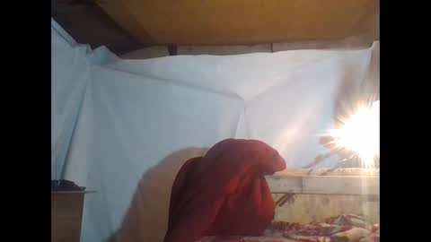 sexy15802 online show from 26, 11, 2025