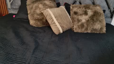 Dafne online show from 6, 4, 2026