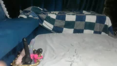 sexy pigeon online show from 27, 4, 2026