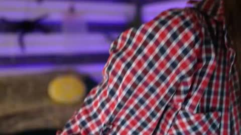 Celline online show from 16, 11, 2025