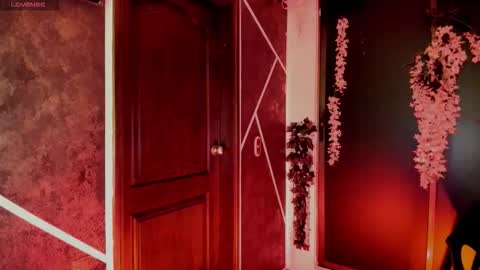 N A F online show from 6, 11, 2025