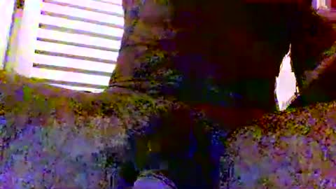 sexynudistdaddycockm online show from 24, 11, 2025