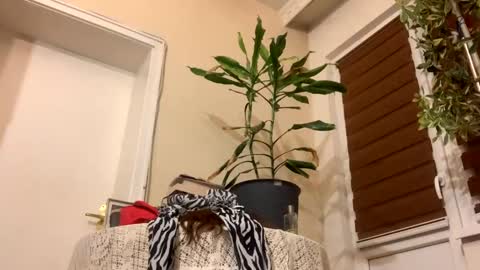 Snapshot of sexysexydream chatting on 22, 1, 2025 Anya online show from 22, 1, 2025