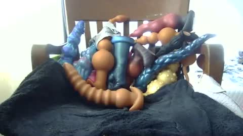 shakespeareisahomie online show from 16, 11, 2025