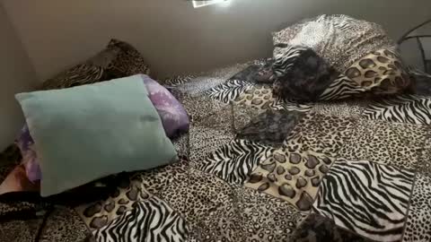 Snapshot of shamanwoman chatting on 6, 12, 2024 Shaman Woman online show from 6, 12, 2024