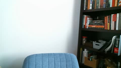 shamelesswetdream online show from 1, 3, 2025