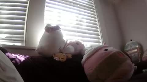 shampooprincess001 online show from 21, 3, 2026